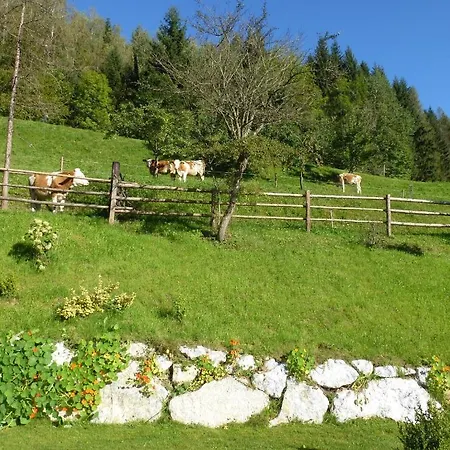 Ehrenfried - Garni